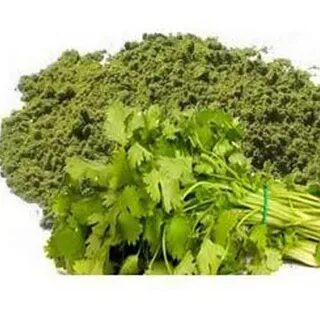 خرید و فروش عمده سبزی گشنیز خشک + قیمت صادراتی
